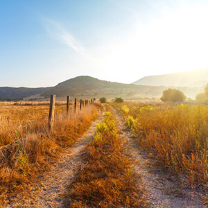 Direct Access Marketing for Rural PT Practices